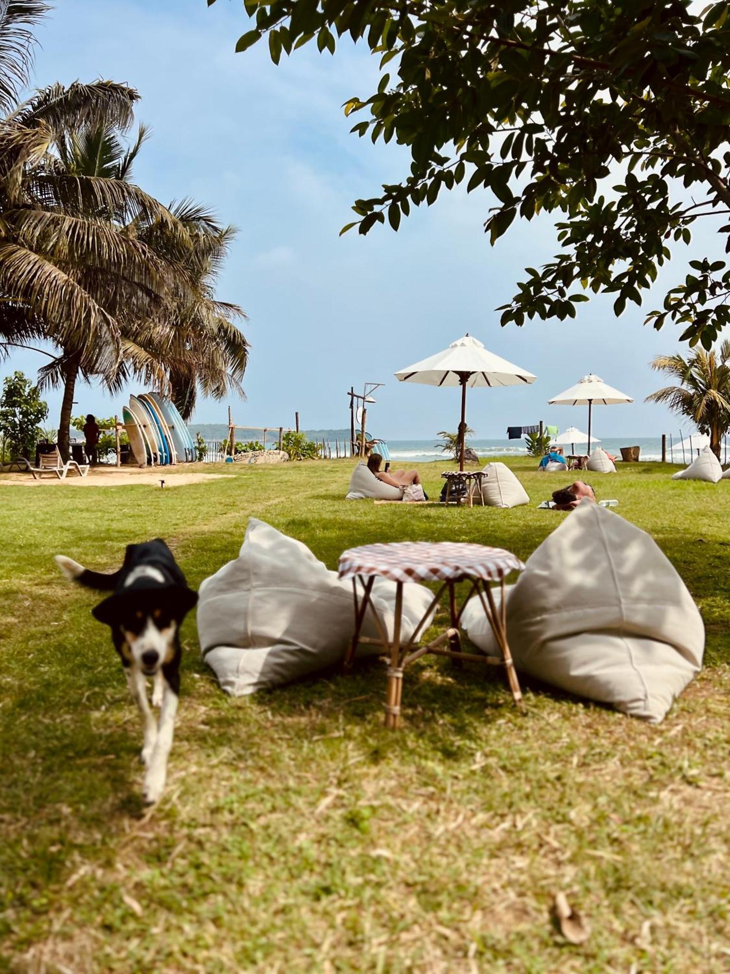 Calma - Surf, Yoga & Coffee On A Private Beach Dikwella Luaran gambar