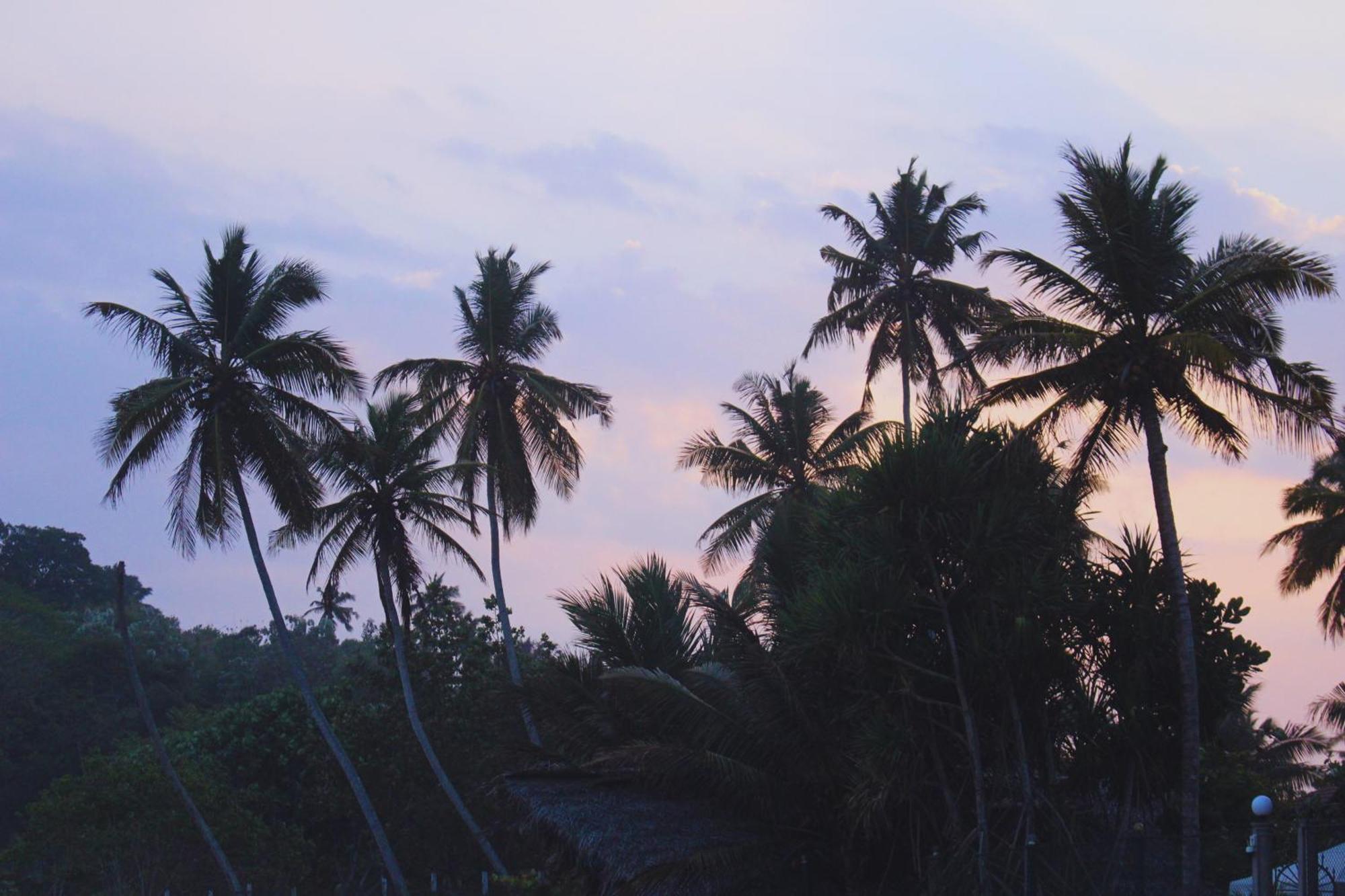 Calma - Surf, Yoga & Coffee On A Private Beach Dikwella Luaran gambar