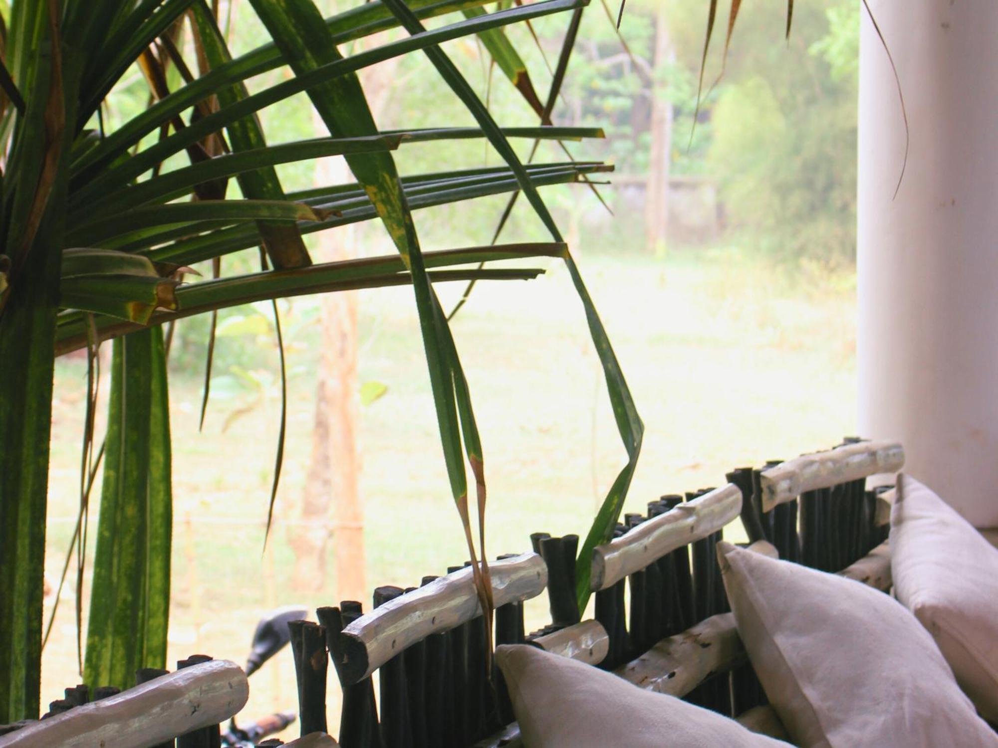 Calma - Surf, Yoga & Coffee On A Private Beach Dikwella Luaran gambar